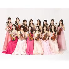 12人のヴァイオリニスト 